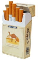 1996年 タバコ CAMEL ラクダ キャメル 非売品 特大ポスター - コレクション